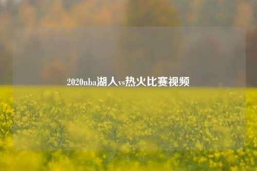 2020nba湖人vs热火比赛视频