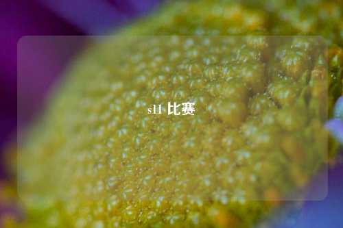 s11 比赛