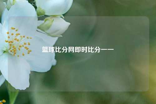 篮球比分网即时比分一一