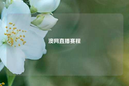 澳网直播赛程
