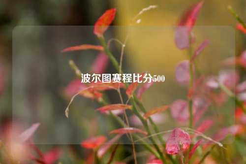 波尔图赛程比分500