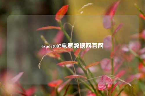 esport007电竞数据网官网