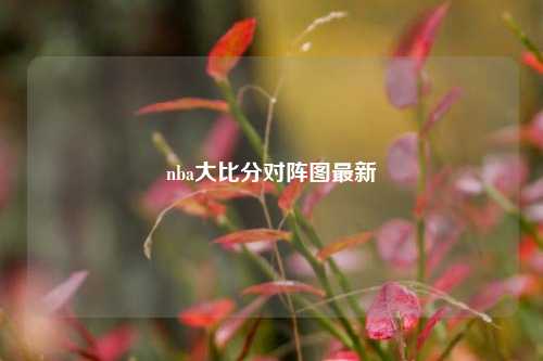 nba大比分对阵图最新
