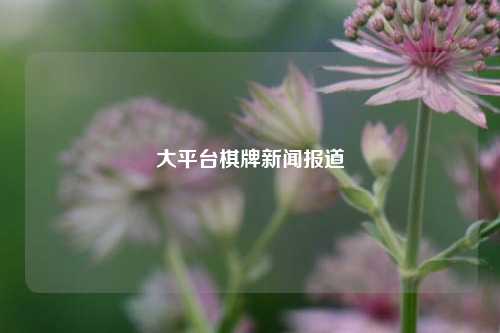 大平台棋牌新闻报道