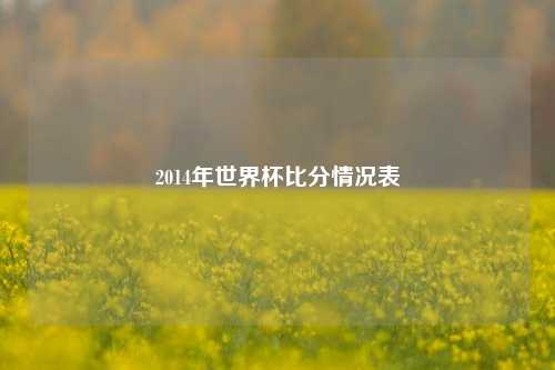 2014年世界杯比分情况表