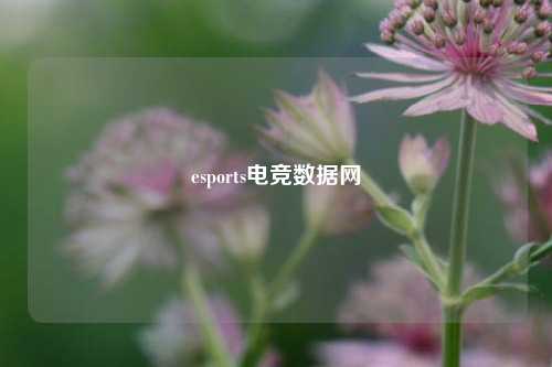 esports电竞数据网