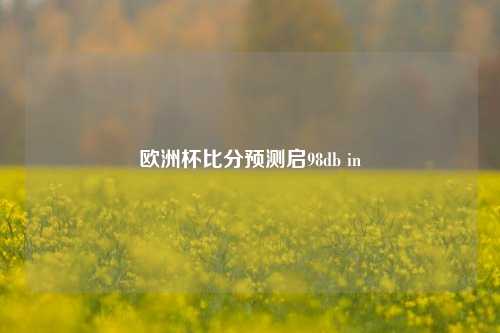 欧洲杯比分预测启98db in