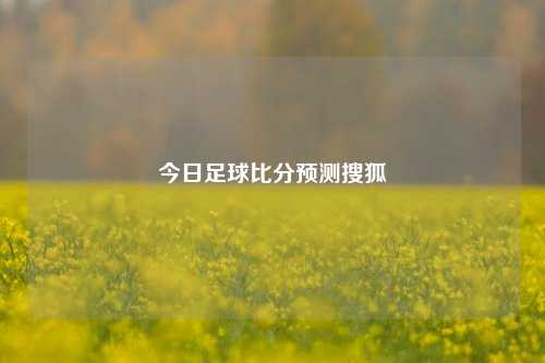 今日足球比分预测搜狐