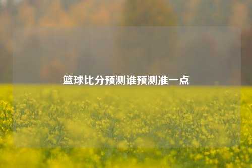 篮球比分预测谁预测准一点