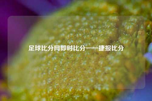 足球比分网即时比分一一捷报比分