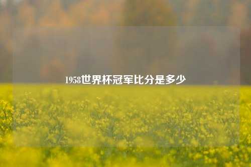 1958世界杯冠军比分是多少