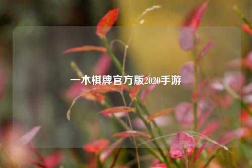 一木棋牌官方版2020手游