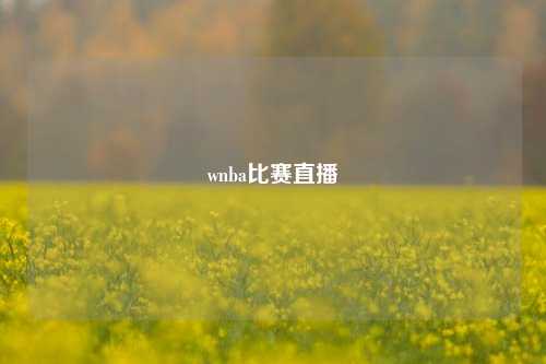 wnba比赛直播
