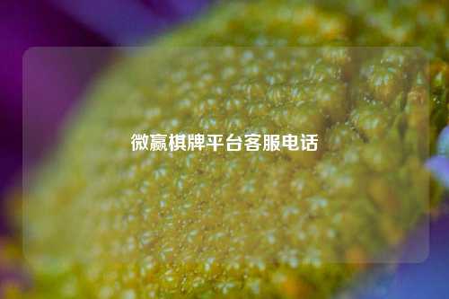微赢棋牌平台客服电话