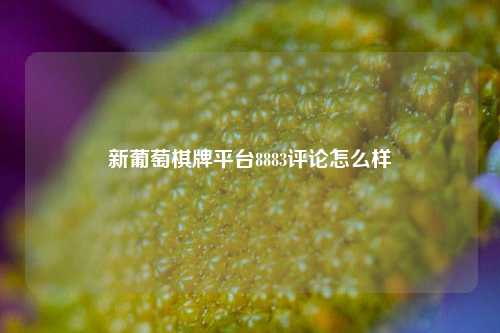 新葡萄棋牌平台8883评论怎么样