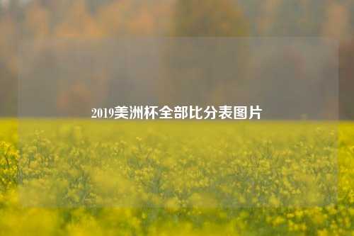 2019美洲杯全部比分表图片