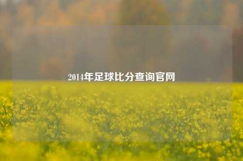 2014年足球比分查询官网